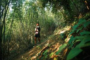 BIB: 
                            <button type="button" onclick="openModal(28141349)" class="btn btn-primary btn-sm float-right btn-popup" data-toggle="modal" data-target=".modal-high-quality">
                        <i class="fas fa-shopping-cart"></i> Add to Cart
                    </button>
                                            <button type="button" onclick="isThisMe(28141349, true)" class="btn btn-success btn-sm float-right btn-popup btn-isme hidden" data-toggle="tooltip" data-placement="bottom" title="นี่คือรูปของคุณใช่ไหม คลิกที่นี่เพื่อเอาเข้าอัลบั้ม">
                        <i class="fas fa-plus"></i> Add to album
                    </button>
                    <button type="button" onclick="isThisMe(28141349, false)" class="btn btn-warning btn-sm float-right btn-popup btn-isnotme hidden">
                        <i class="fas fa-ban"></i> Remove from album
                    </button>